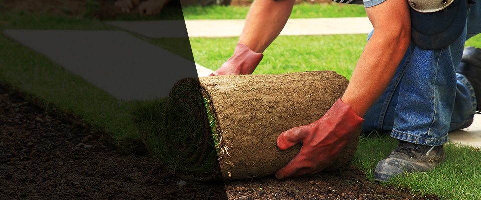 Providence Landscapers